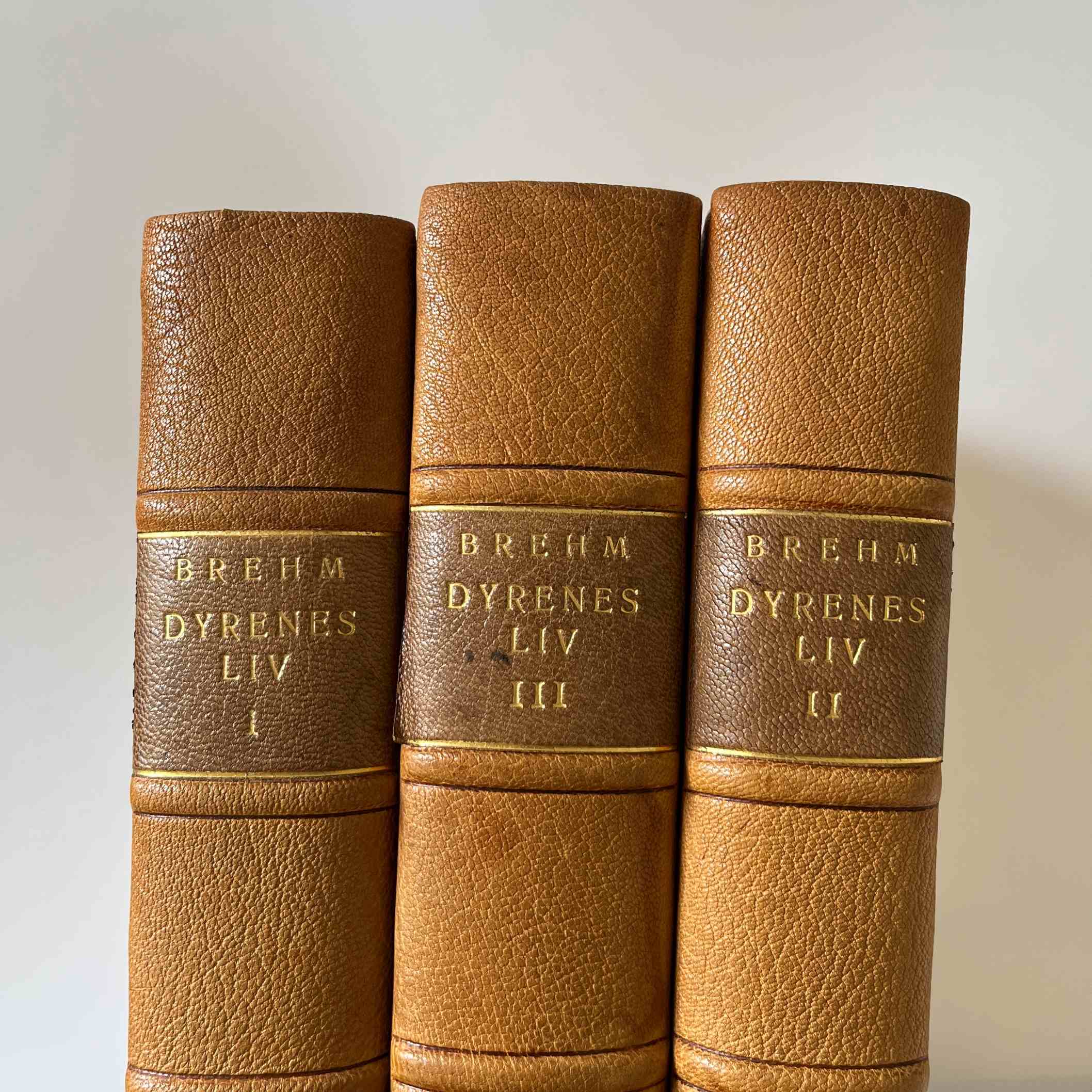 A. Brehm - Dyrenes liv 1-3 v/ J. O. Bøving-Petersen