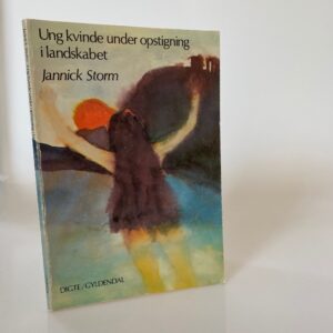 Jannick Storm - Ung kvinde under opstigning i landskabet