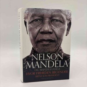 Nelson Mandela og Mandla Langa: Hvor friheden begynder - årene som præsident