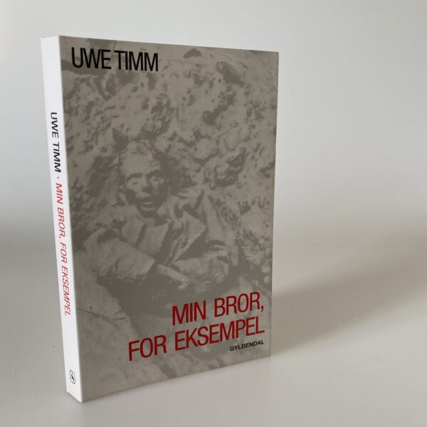 Uwe Timm: Min bror, for eksempel