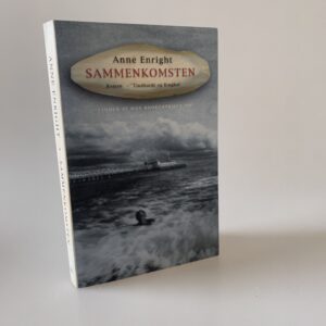 Anne Enright: Sammenkomsten