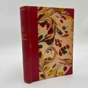 Fjodor Dostojevskij: Netotsjakas barndom - Af en ukendt kvindes erindringer