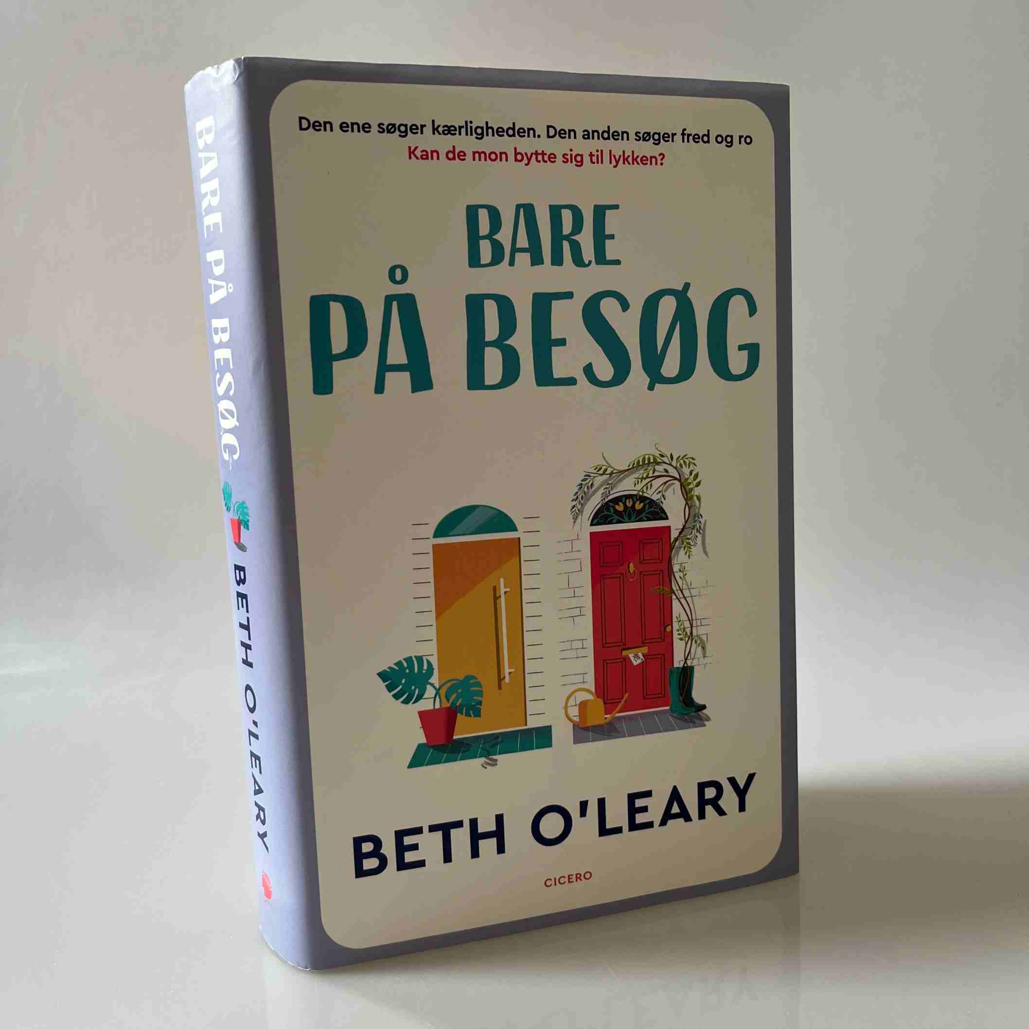 Beth O'leary: Bare på besøg - roman