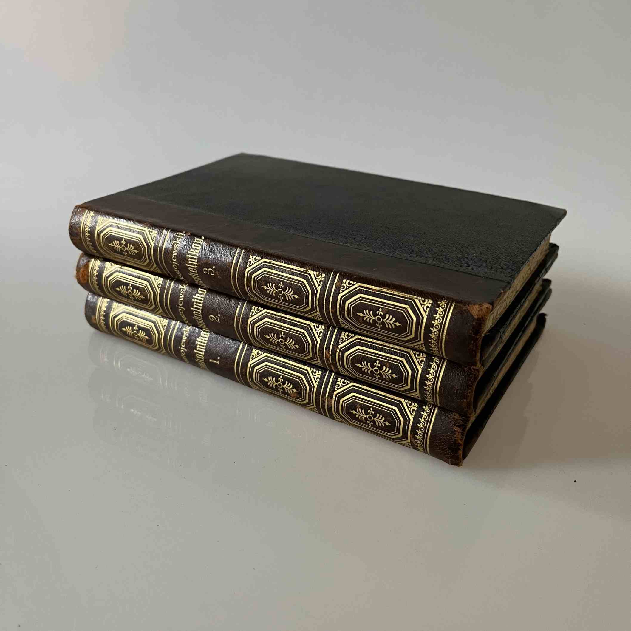 Fjodor M. Dostojevskij: Raskolnikov - roman i tre bind - Billede 2