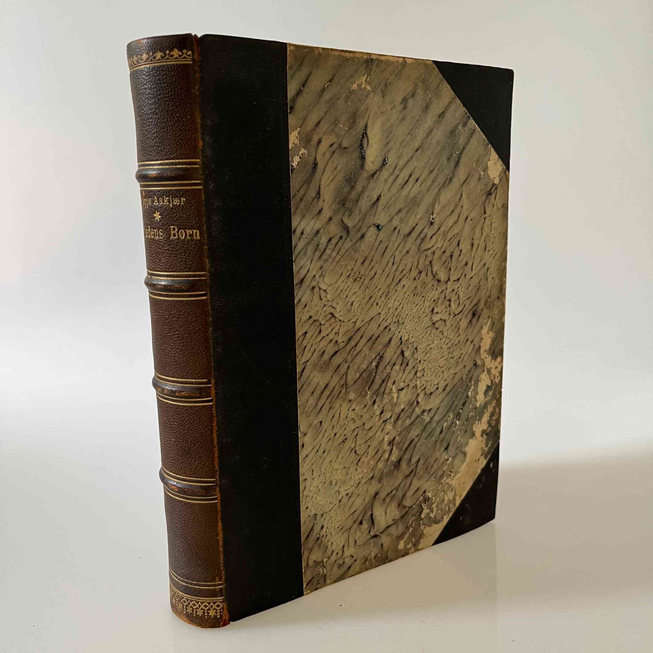 Jeppe Aakjær: Vredens børn. Et tyendes saga