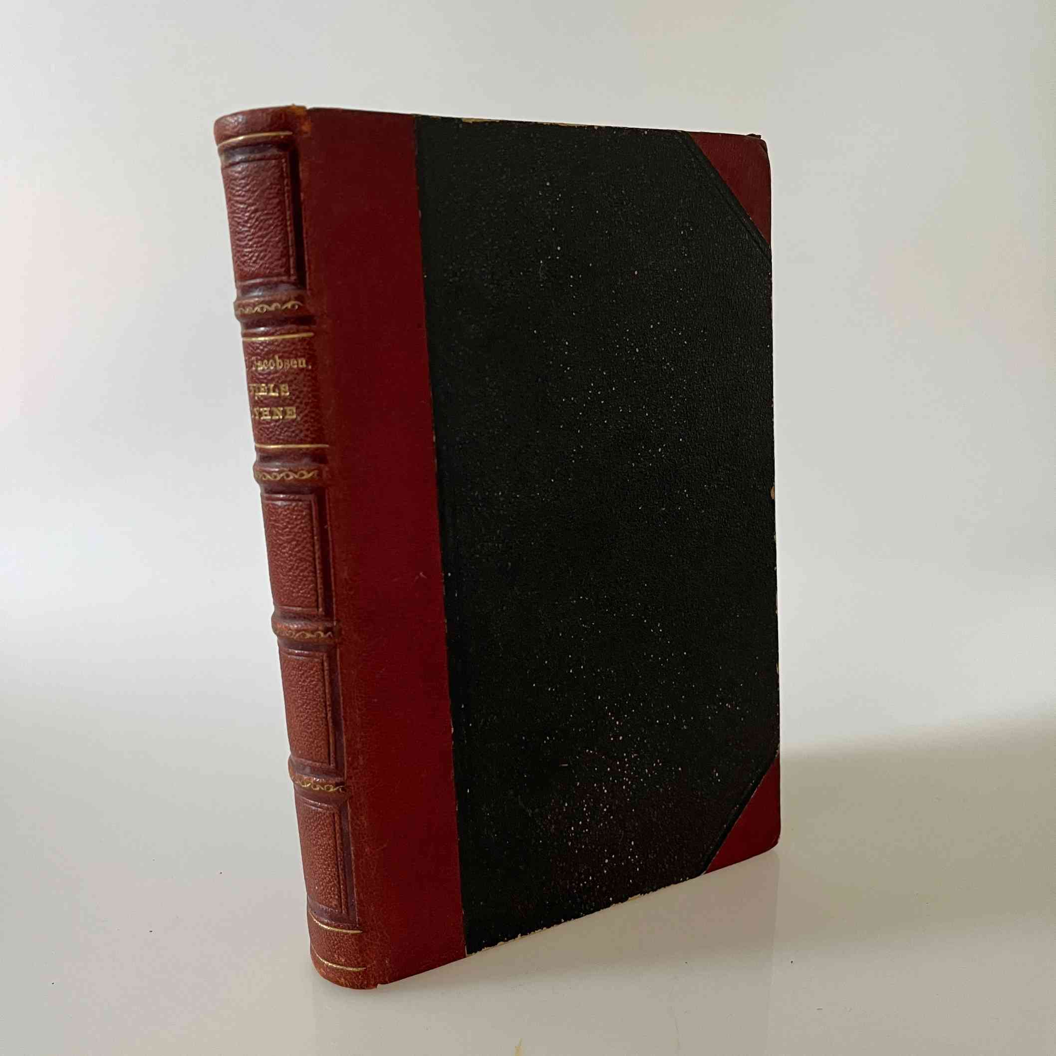 J. P. Jacobsen: Niels Lyhne