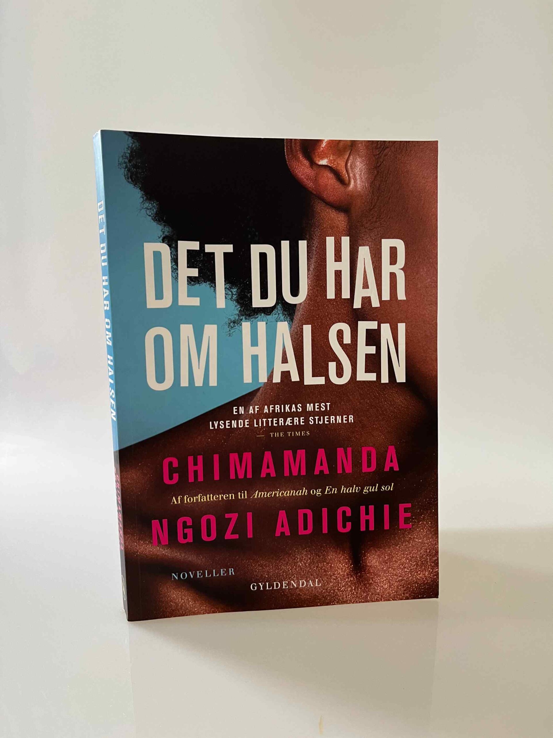 Chimamanda Ngozi Adichie: Det du har om halsen - noveller