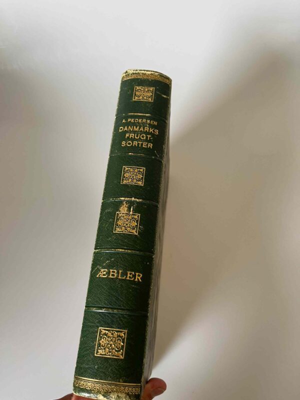 A. Pedersen: Danmarks Frugtsorter - bind 1 - Æbler - Image 2