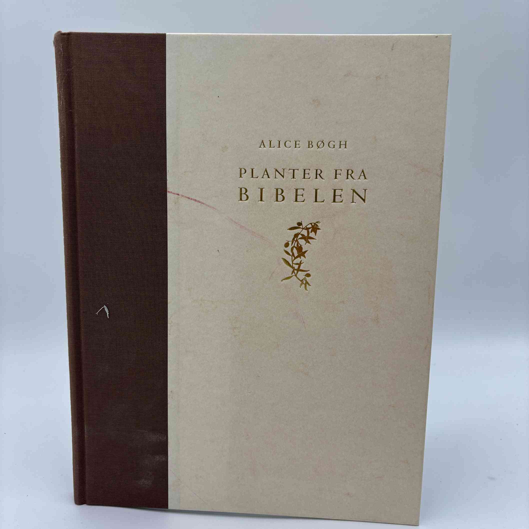 Alice Bøgh: Planter fra Bibelen