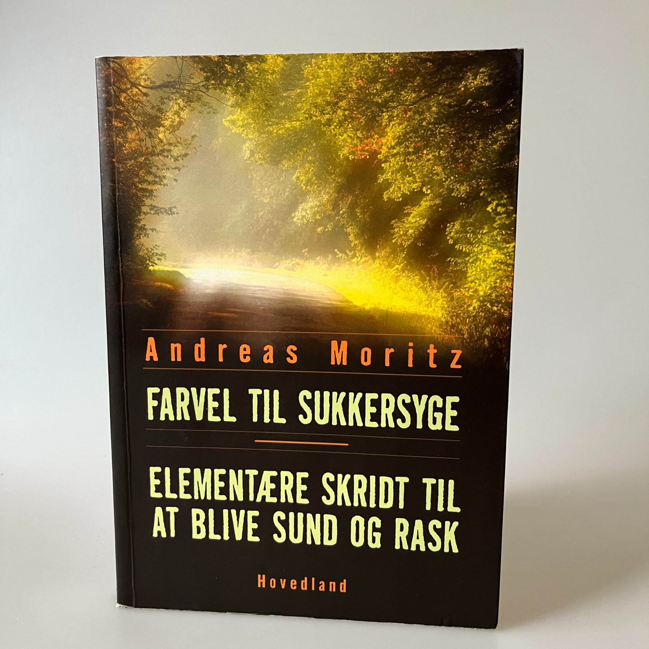 Andreas Moritz: Farvel til sukkersyge - Elementære skridt til at blive sund og rask