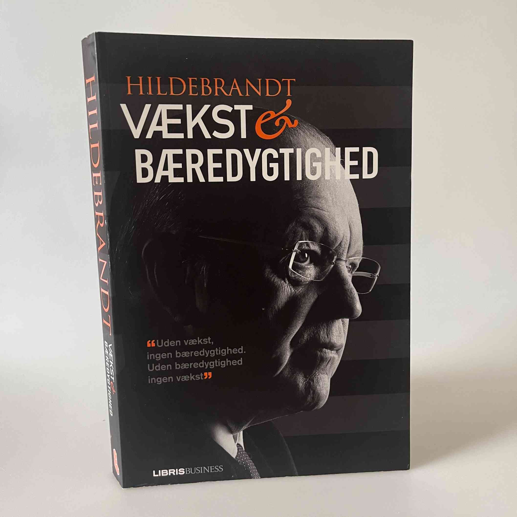 Steen Hildebrandt: Vækst og bæredygtighed