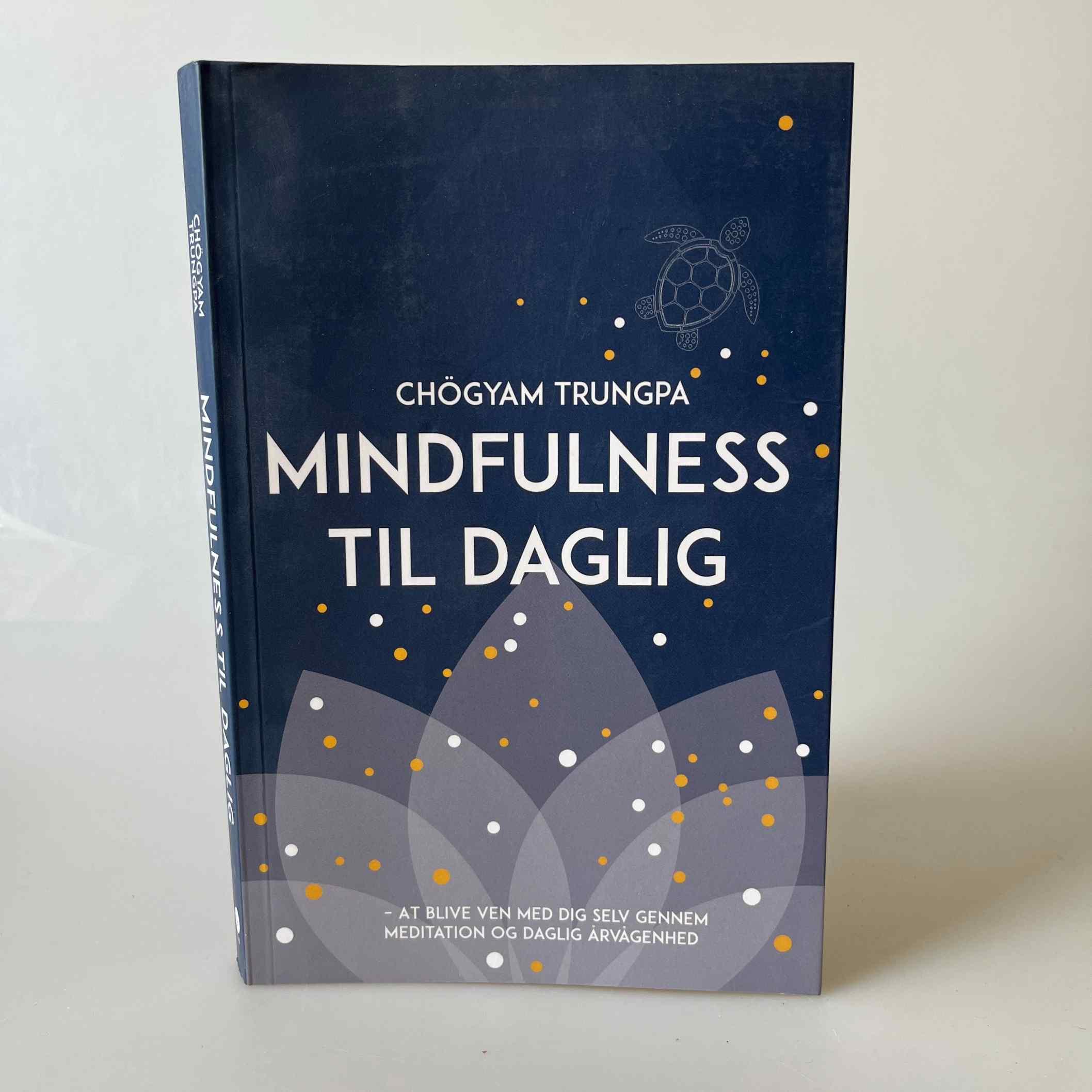 Chögyam Trungpa: Mindfulness til daglig - at blive ven med dig selv gennem meditation og daglig årvågenhed