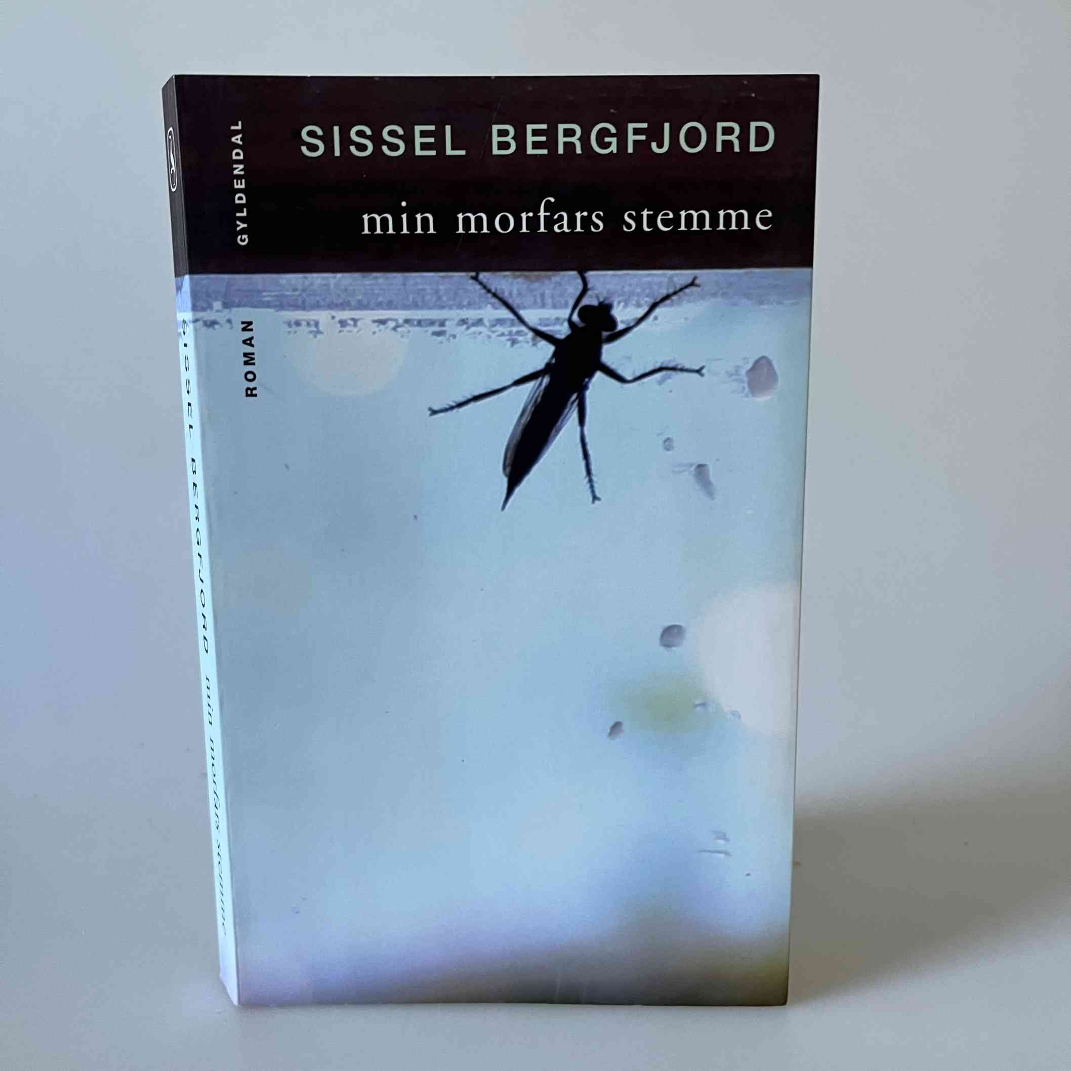 Sissel Bergfjord: Min morfars stemme - roman