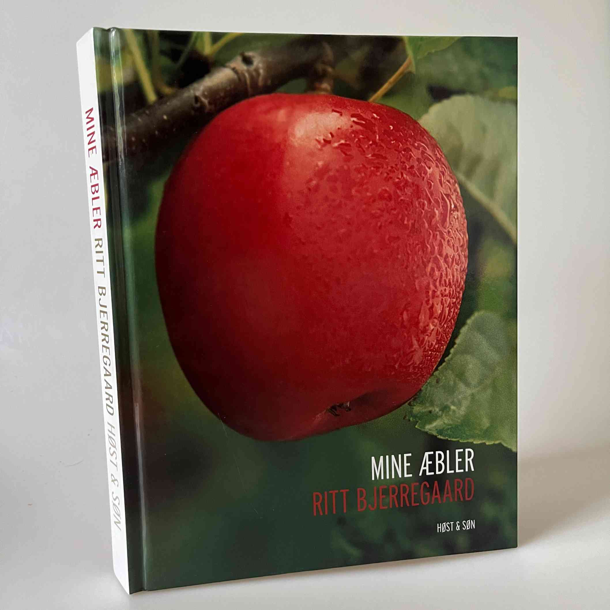 Ritt Bjerregaard: Mine æbler