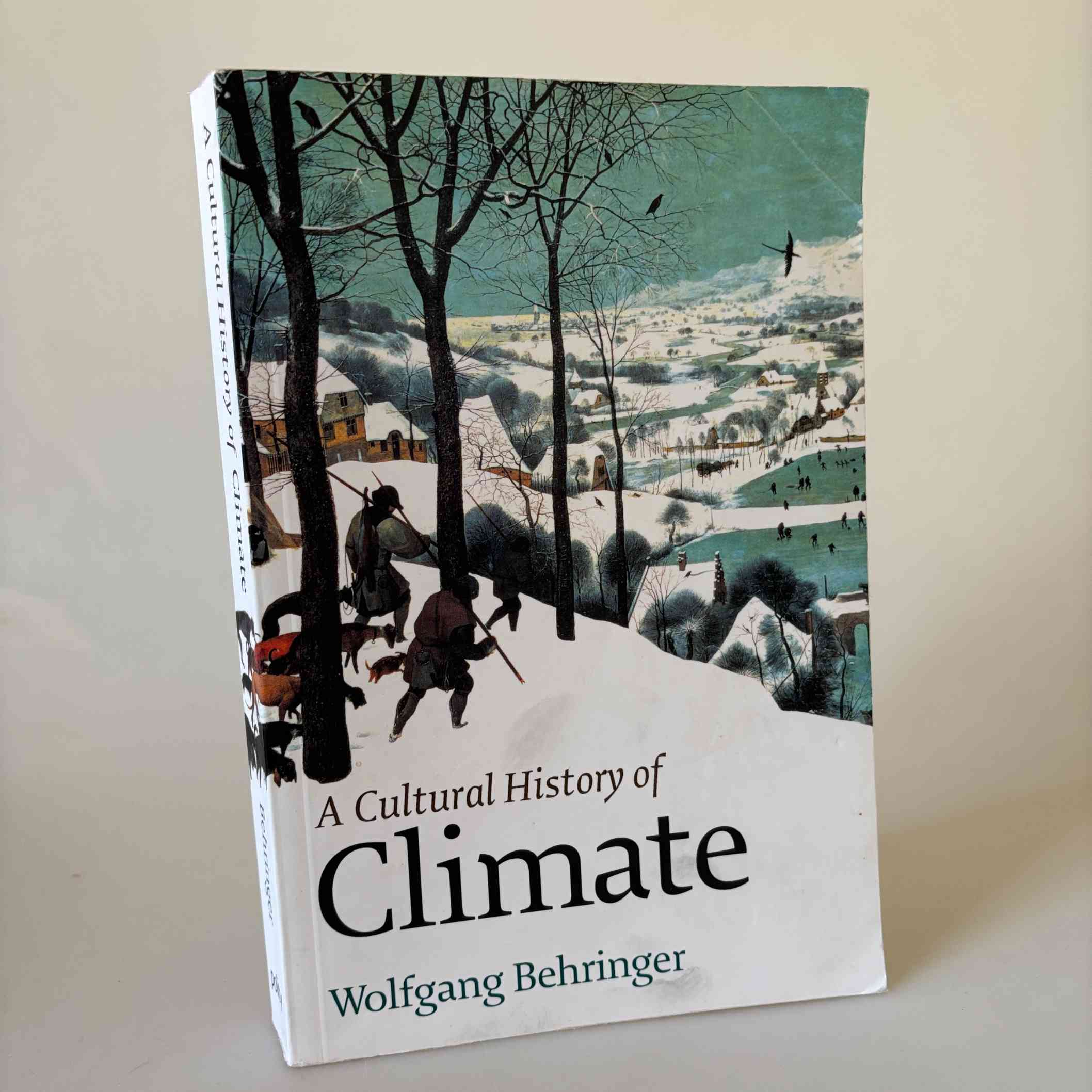 Wolfgang Behringer: A Cultural History of Climate