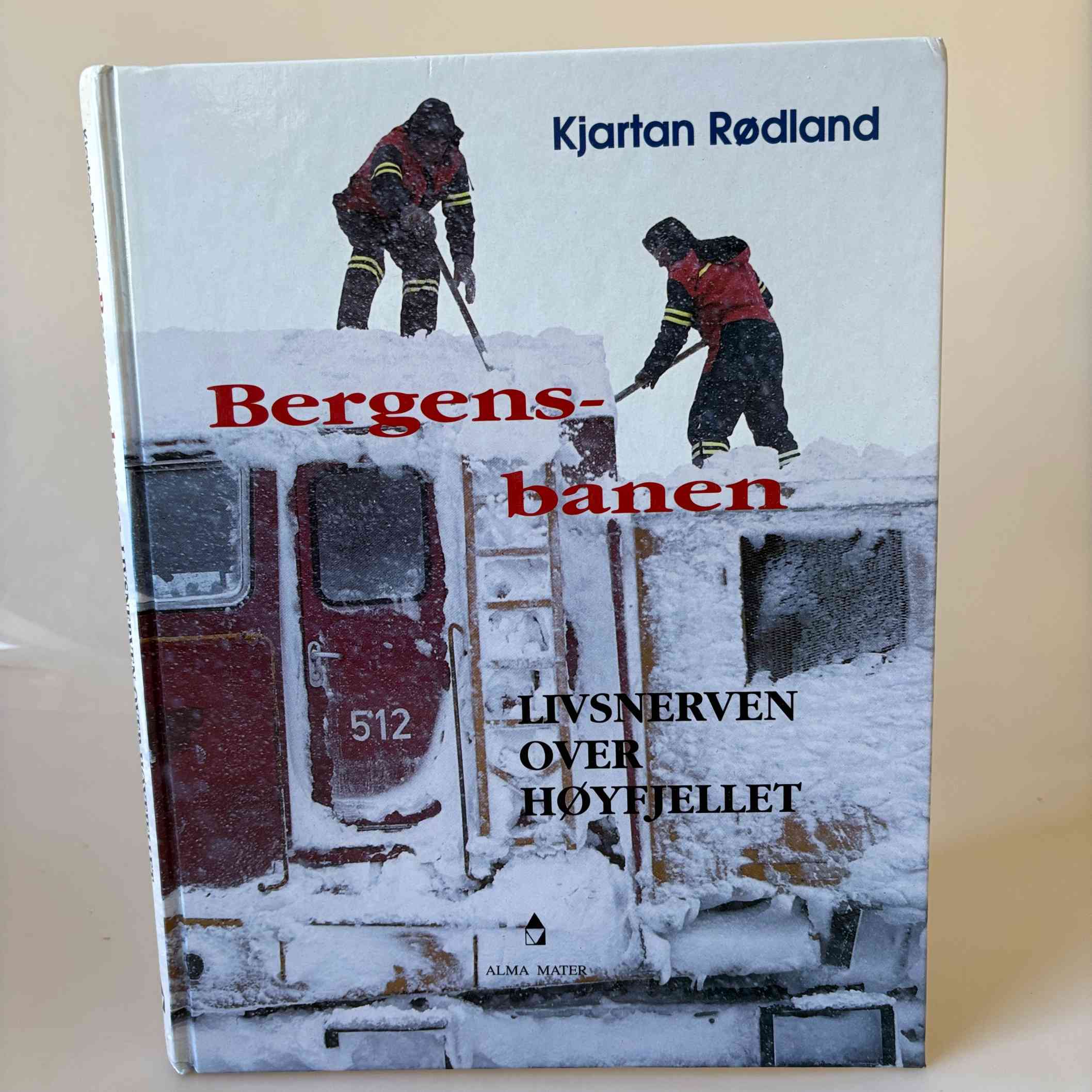 Kjartan Rødland: Bergens-banen - livsnerven over høyfjellet (norsk)
