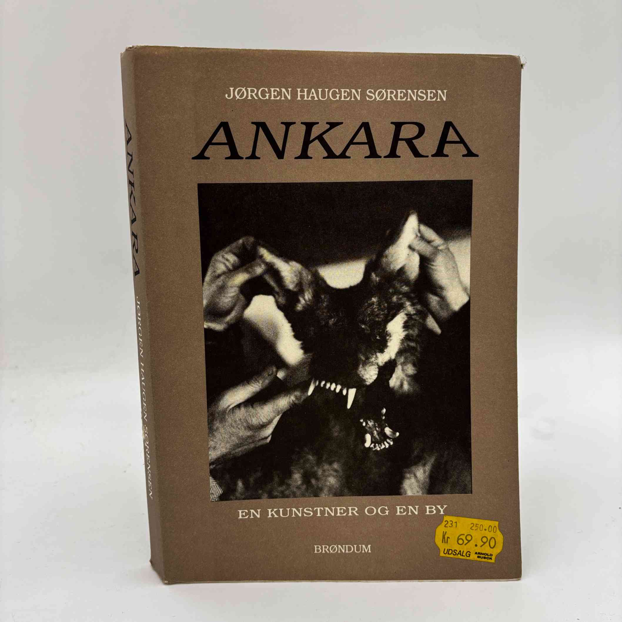 Jørgen Haugen Sørensen: Ankara