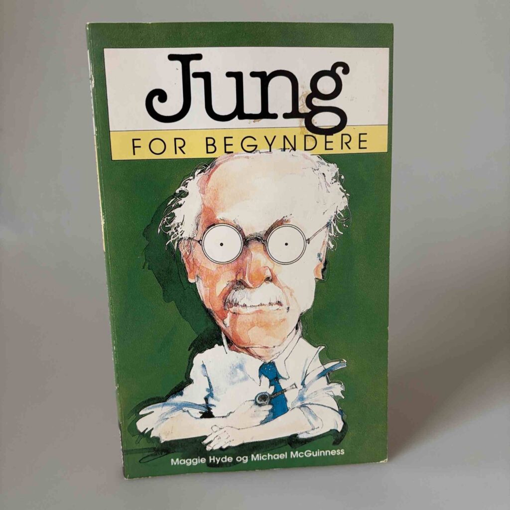 Maggie Hyde og Michael Mcguinness: Jung for begyndere | Køb brugt her ...