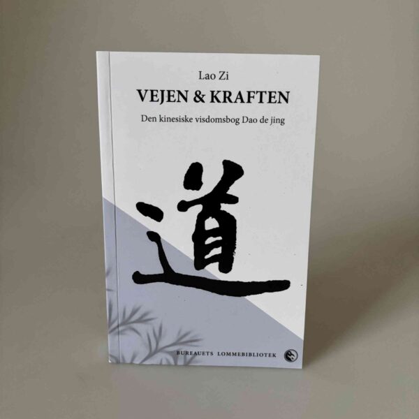 Lao Zi: Vejen & kraften - den kinesiske visdomsbog Dao de jing (TAO)