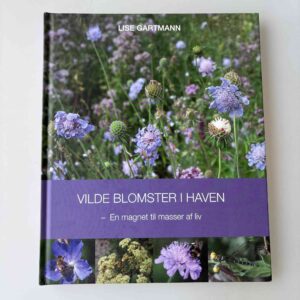 Lise Gartmann: Vilde blomster i haven - En magnet til masser af liv
