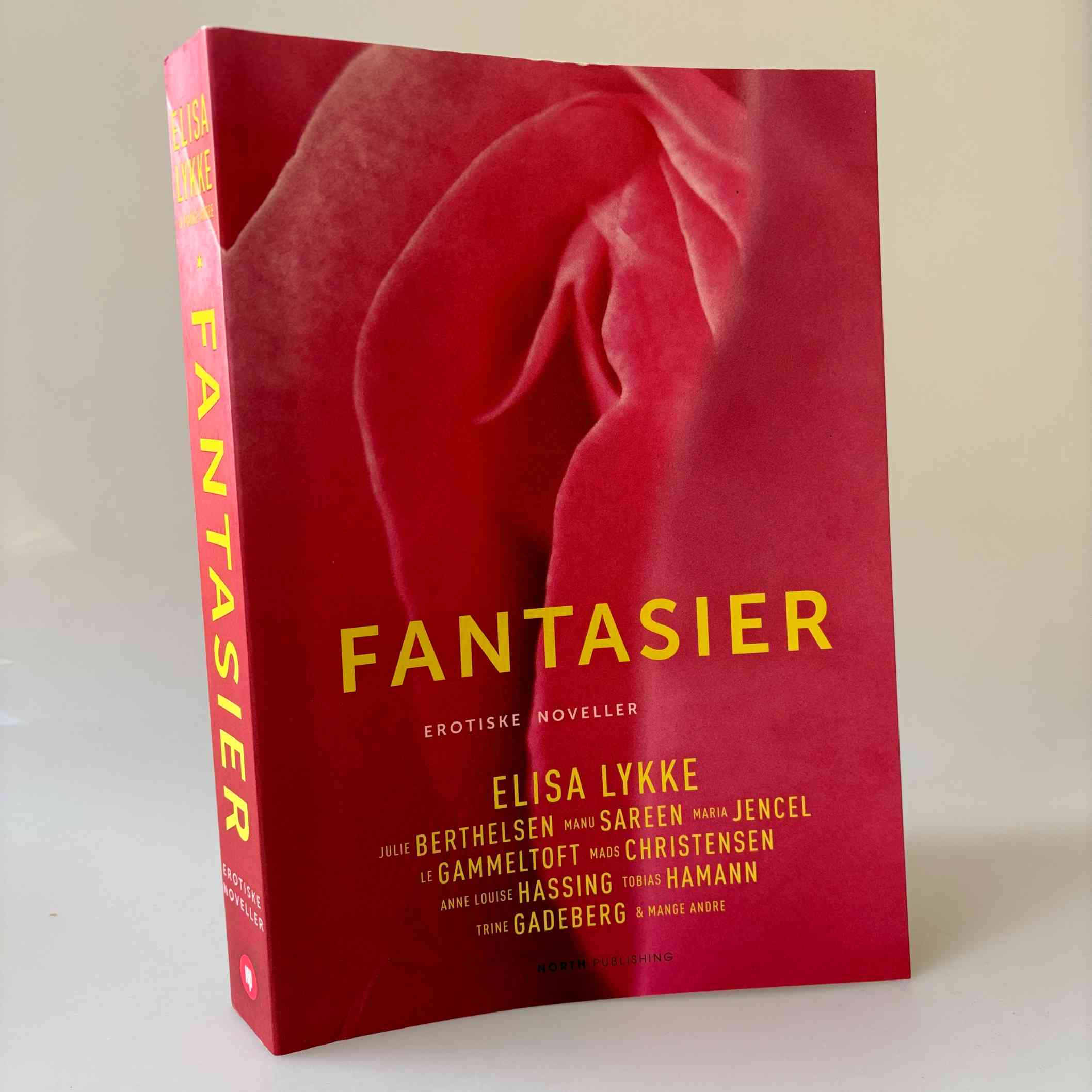 Elisa Lykke: Fantasier - erotiske noveller