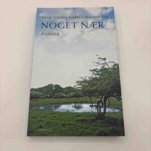 Hans Edvard Nørregaard-Nielsen: Noget nær - et tidsbillede