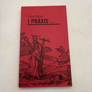 Gitte Meyer - I praxis - aktualisering af en tabt dimension