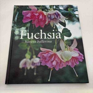 Fuchsia - havens ballerina