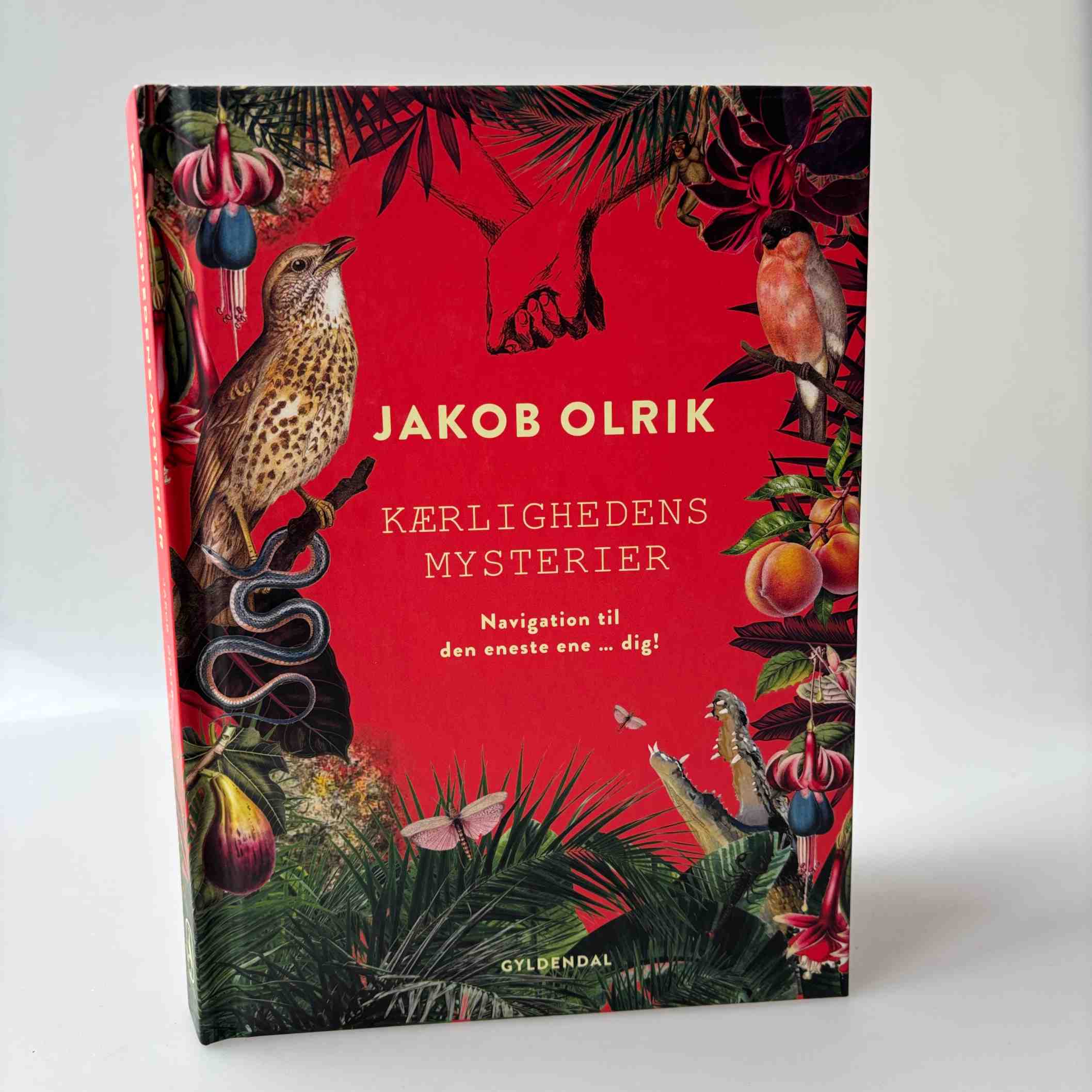 Jakob Olrik: Kærlighedens mysterier: Navigation til den eneste ene ... dig!