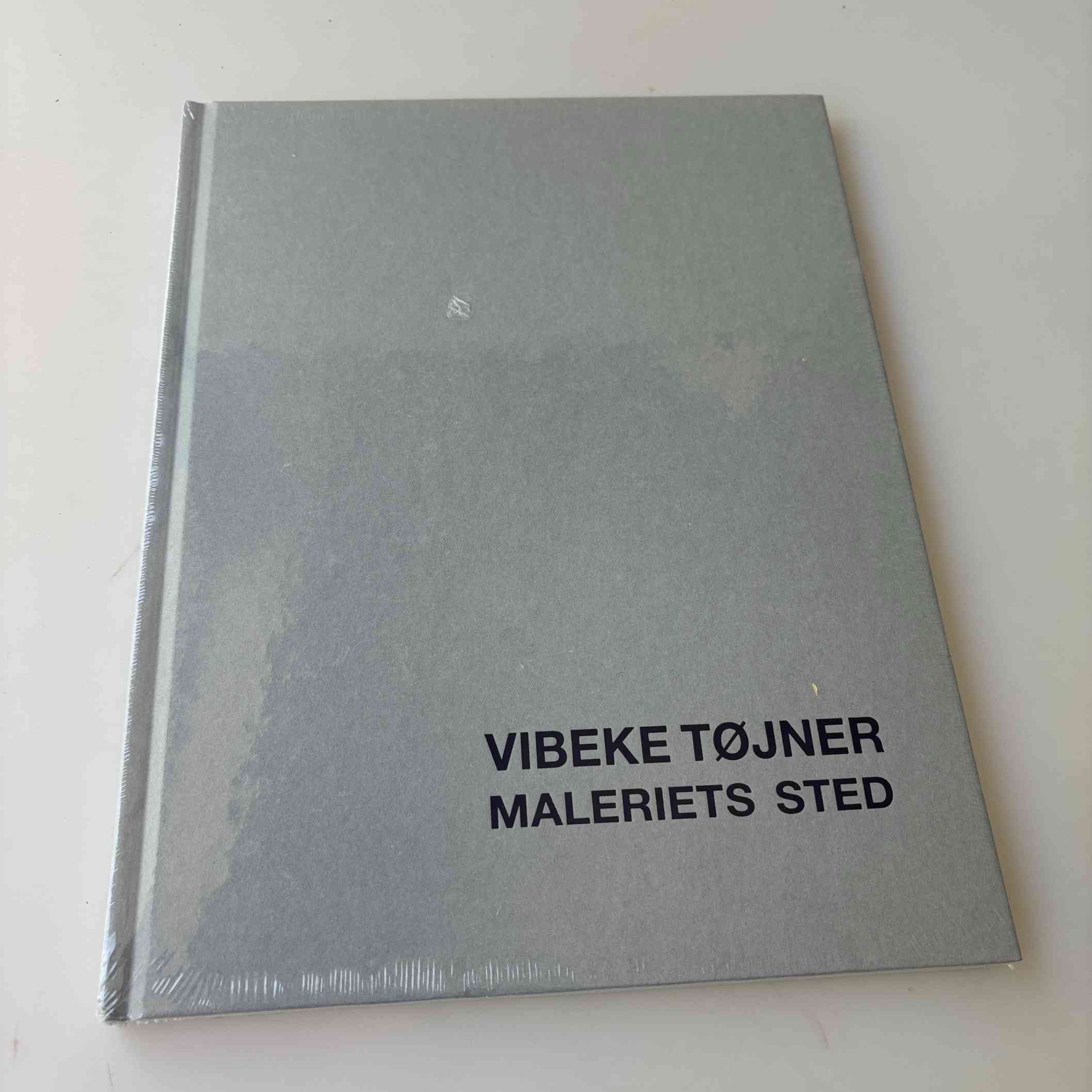 Vibeke Tøjner: Maleriets sted