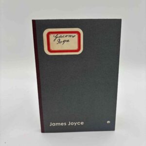 James Joyce: Giacomo Joyce (dansk)