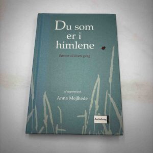 Anna Mejlhede - Du som er i himlene - bønner til livets gang