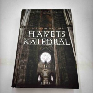 Ildefonso Falcones: Havets katedral - roman