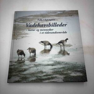 Palle Uhd Jepsen: Vadehavsbilleder