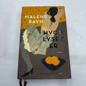 Malene Ravn: Hvor lyset er - roman