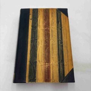 Jacob Paludan: Jørgen Stein (fra rygerhjem)