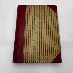 Betty Smith: Maggie (Dansk)