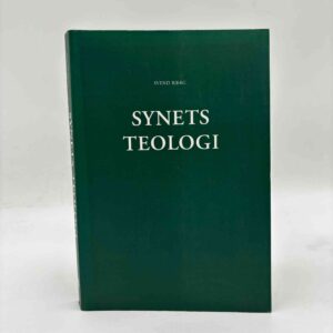 Svend Bjerg: Synets teologi