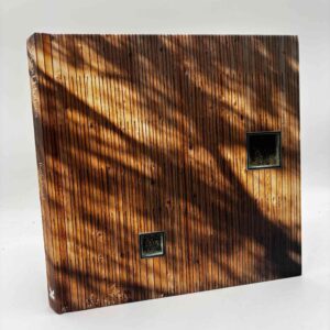 Ruth Slavid: Wood Houses