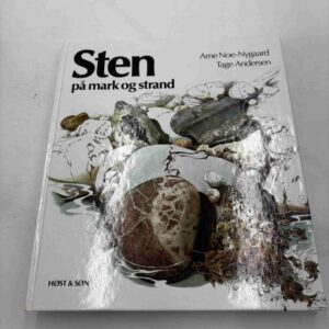 Arne Noe-Nygaard: Sten på mark og strand