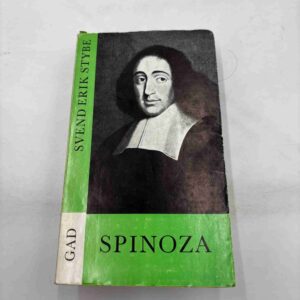 Svend Erik Stybe: Spinoza