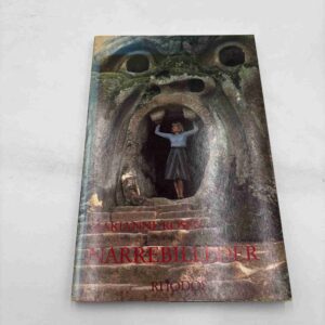 Marianne Rosen: Narrebilleder (fra rygerhjem)