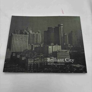 Inger Lise Rasmussen: Brilliant city