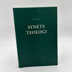 Svend Bjerg: Synets teologi