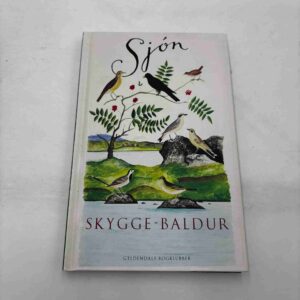 Sjon: Skygge-Baldur