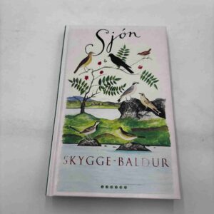 Sjon: Skygge-Baldur