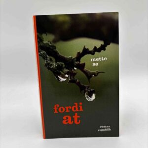 Mette Sø: Fordi at - roman