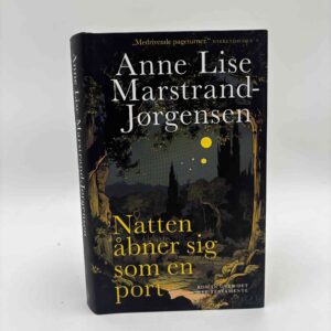 Anne Lise Marstrand-Jørgensen: Natten åbner sig som en port - roman over Det Nye Testamente