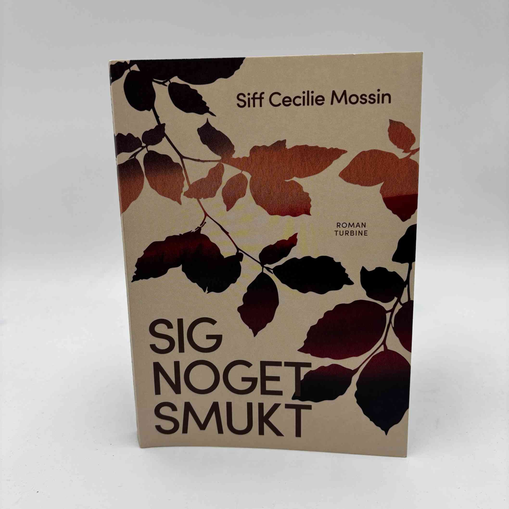 Siff Cecilie Mossin: Sig noget smukt - roman