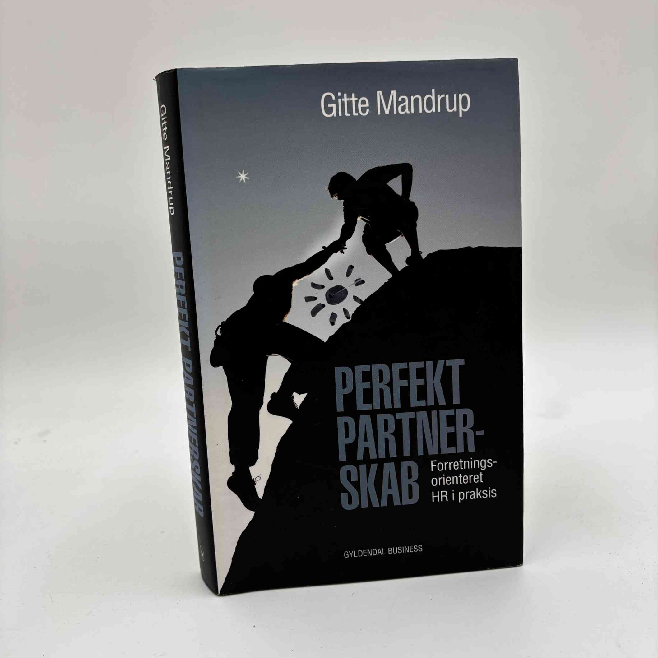 Gitte Mandrup: Perfekt partnerskab - Forretningsorienteret HR i praksis